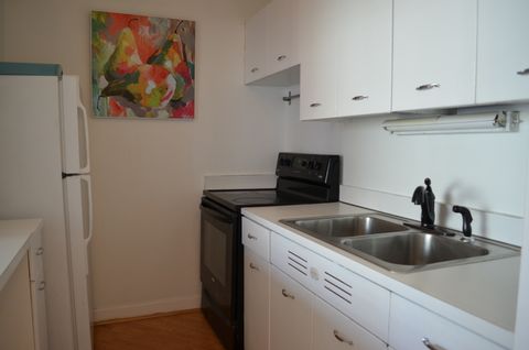 Tiny photo for Chicago, IL 60611 (MLS # 12633650)