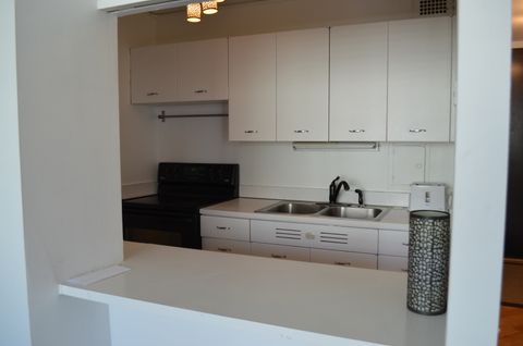 Tiny photo for Chicago, IL 60611 (MLS # 12633650)