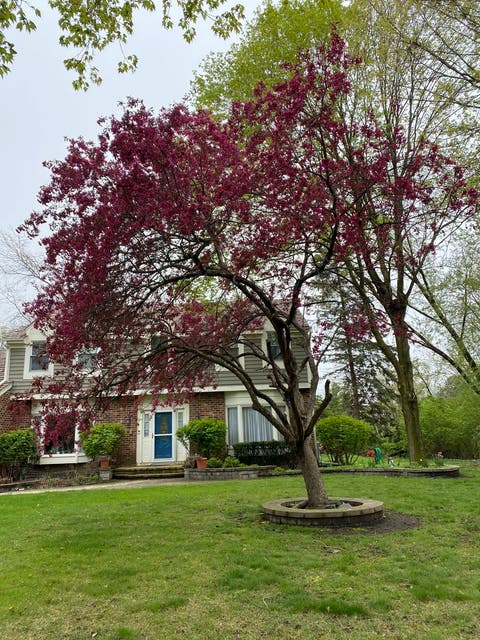 Tiny photo for 5544 Oak Grove Drive, Long Grove, IL 60047 (MLS # 12707080)