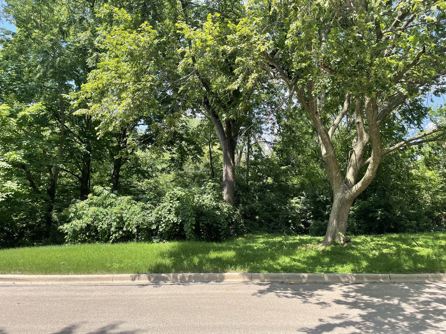 Properties 2 Lot 4 Manchester Avenue