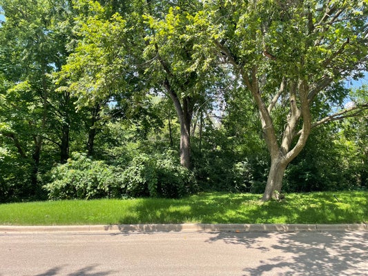 LOT 4 MANCHESTER AVENUE, BATAVIA, IL 60510 - Image ecda9dcfa6a2e44c178e2956cdd9c35d/3534395271