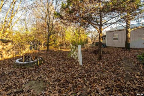 Tiny photo for 308 S Spillertown Road, Marion, IL 62959 (MLS # QC4269886)