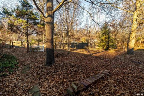 Tiny photo for 308 S Spillertown Road, Marion, IL 62959 (MLS # QC4269886)