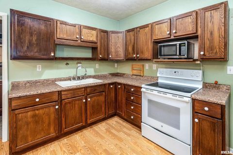 Tiny photo for 308 S Spillertown Road, Marion, IL 62959 (MLS # QC4269886)