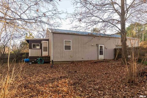 Tiny photo for 308 S Spillertown Road, Marion, IL 62959 (MLS # QC4269886)