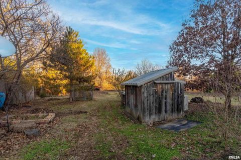 Tiny photo for 308 S Spillertown Road, Marion, IL 62959 (MLS # QC4269886)
