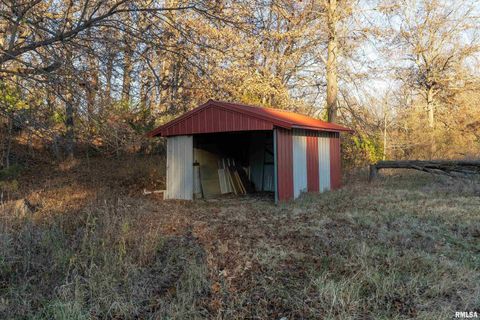 Tiny photo for 308 S Spillertown Road, Marion, IL 62959 (MLS # QC4269886)