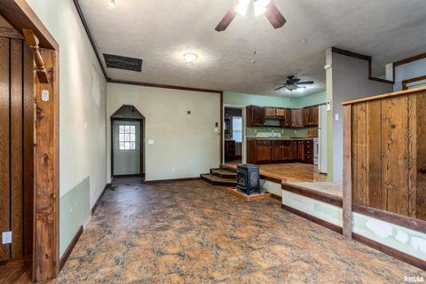 Tiny photo for 308 S Spillertown Road, Marion, IL 62959 (MLS # QC4269886)