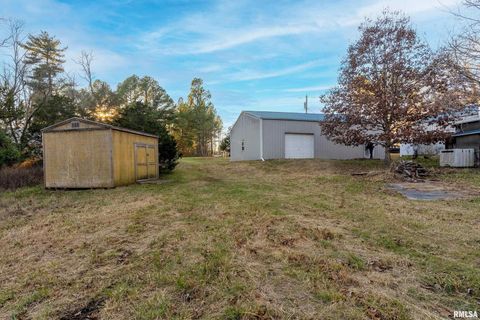 Tiny photo for 308 S Spillertown Road, Marion, IL 62959 (MLS # QC4269886)