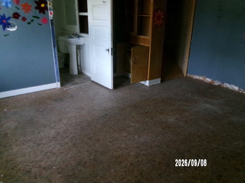 Tiny photo for 402 W Chestnut Street, Hoopeston, IL 60942 (MLS # 12760927)