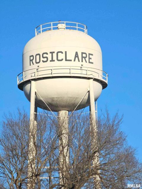 Tiny photo for 405 4TH Street, Rosiclare, IL 62982 (MLS # EB451826)