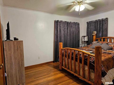 Tiny photo for 405 4TH Street, Rosiclare, IL 62982 (MLS # EB451826)