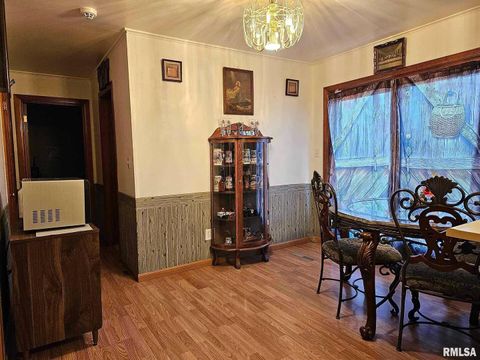 Tiny photo for 405 4TH Street, Rosiclare, IL 62982 (MLS # EB451826)