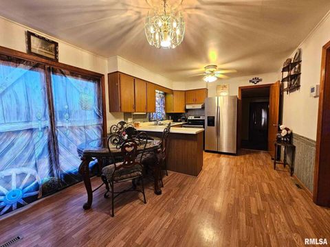 Tiny photo for 405 4TH Street, Rosiclare, IL 62982 (MLS # EB451826)