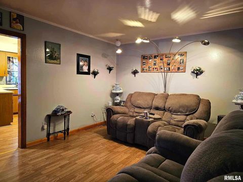 Tiny photo for 405 4TH Street, Rosiclare, IL 62982 (MLS # EB451826)