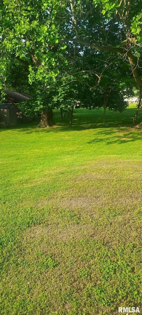 Tiny photo for 405 4TH Street, Rosiclare, IL 62982 (MLS # EB451826)