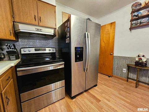 Tiny photo for 405 4TH Street, Rosiclare, IL 62982 (MLS # EB451826)