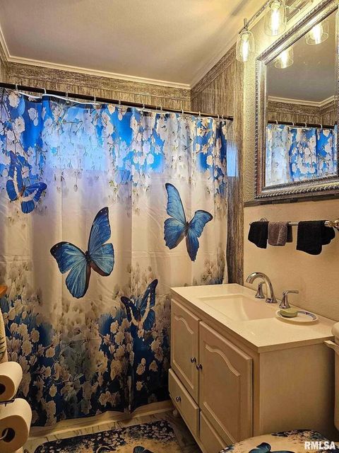 Tiny photo for 405 4TH Street, Rosiclare, IL 62982 (MLS # EB451826)