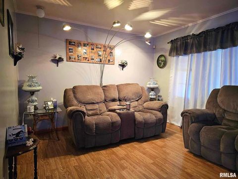 Tiny photo for 405 4TH Street, Rosiclare, IL 62982 (MLS # EB451826)