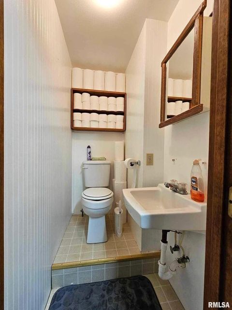 Tiny photo for 405 4TH Street, Rosiclare, IL 62982 (MLS # EB451826)