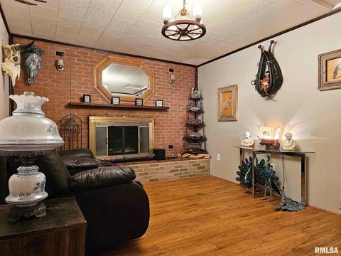 Tiny photo for 405 4TH Street, Rosiclare, IL 62982 (MLS # EB451826)