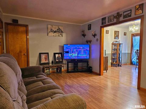 Tiny photo for 405 4TH Street, Rosiclare, IL 62982 (MLS # EB451826)