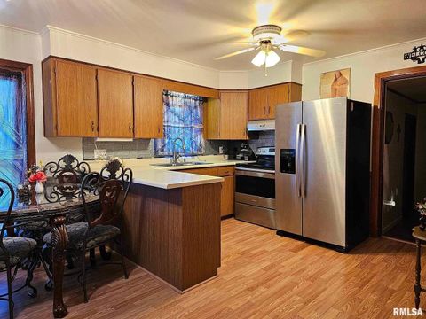 Tiny photo for 405 4TH Street, Rosiclare, IL 62982 (MLS # EB451826)