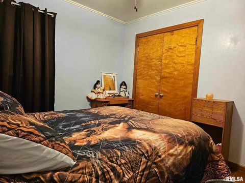 Tiny photo for 405 4TH Street, Rosiclare, IL 62982 (MLS # EB451826)