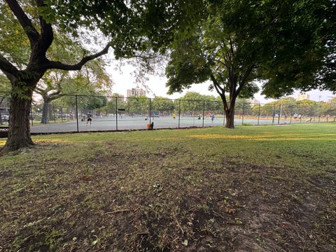 Tiny photo for 3021 S Michigan Avenue #311, Chicago, IL 60616 (MLS # 12618386)