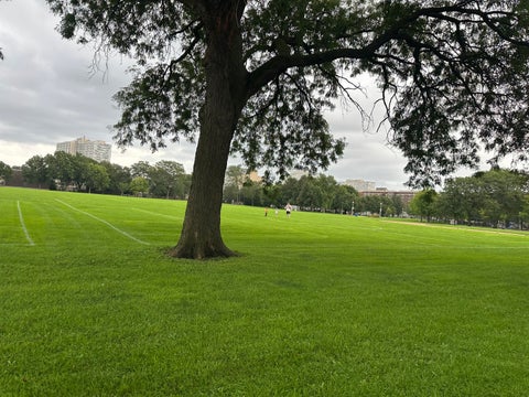 Tiny photo for 3021 S Michigan Avenue #311, Chicago, IL 60616 (MLS # 12618386)