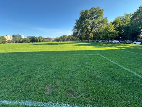 Tiny photo for 3021 S Michigan Avenue #311, Chicago, IL 60616 (MLS # 12618386)