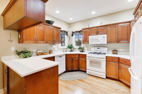 Tiny photo for Western Springs, IL 60558 (MLS # 12564987)