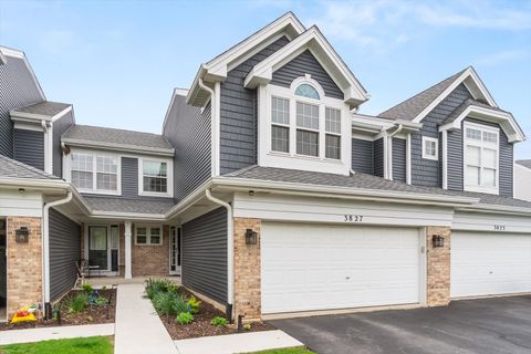 Photo of 3827 Petra Court, Naperville, IL 60564 (MLS # 12611801)