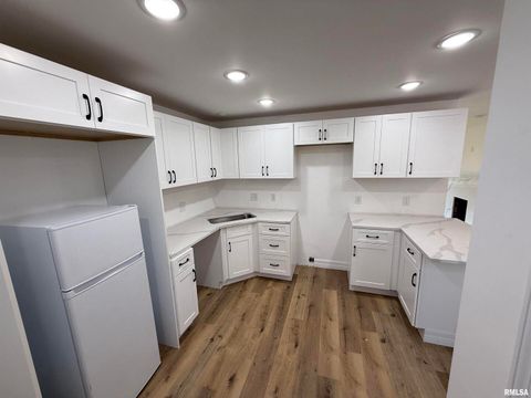 Tiny photo for 924 N ALMOND Street, Carbondale, IL 62901 (MLS # EB459500)