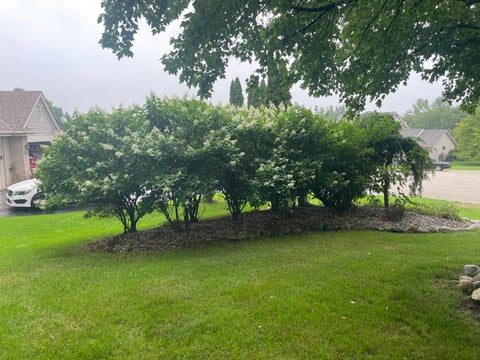 Tiny photo for 2137 Saint James Avenue, Belvidere, IL 61008 (MLS # 12734154)