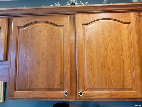 Tiny photo for 216 E 3RD Street, Flora, IL 62839 (MLS # EB460093)