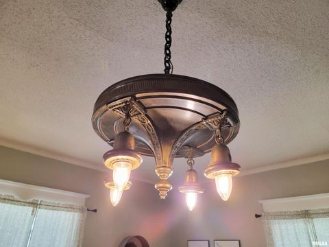 Tiny photo for 216 E 3RD Street, Flora, IL 62839 (MLS # EB460093)