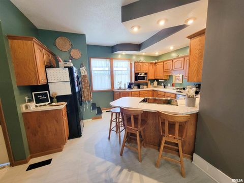 Tiny photo for 216 E 3RD Street, Flora, IL 62839 (MLS # EB460093)