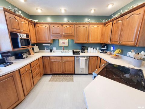 Tiny photo for 216 E 3RD Street, Flora, IL 62839 (MLS # EB460093)