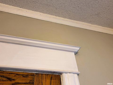 Tiny photo for 216 E 3RD Street, Flora, IL 62839 (MLS # EB460093)