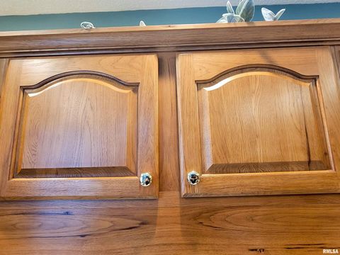 Tiny photo for 216 E 3RD Street, Flora, IL 62839 (MLS # EB460093)