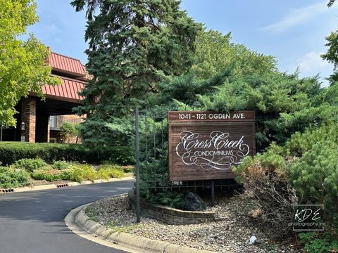 Tiny photo for 1041 W Ogden Avenue #2-121, Naperville, IL 60563 (MLS # 12469496)