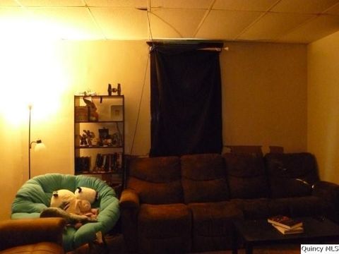 Tiny photo for 233 N First Street, Carthage, IL 62321 (MLS # 12444883)