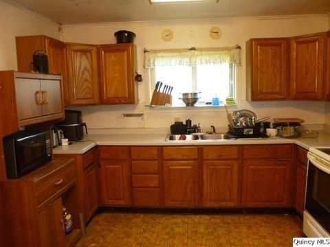Tiny photo for 233 N First Street, Carthage, IL 62321 (MLS # 12444883)