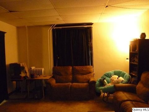 Tiny photo for 233 N First Street, Carthage, IL 62321 (MLS # 12444883)