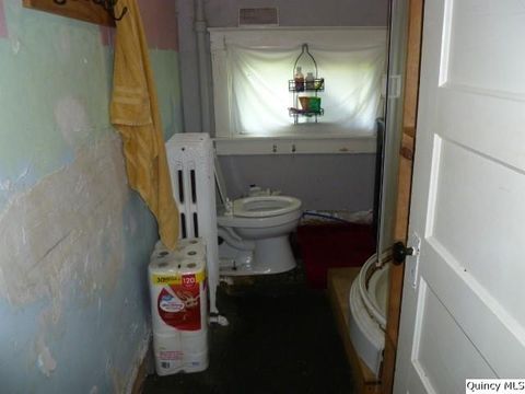 Tiny photo for 233 N First Street, Carthage, IL 62321 (MLS # 12444883)