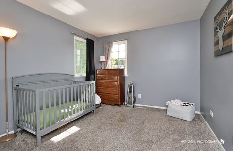 Tiny photo for 205 S Cross Trail, McHenry, IL 60050 (MLS # 12459605)