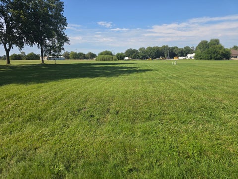 Photo of 808 Lucas Avenue, Thomson, IL 61285 (MLS # 12751202)