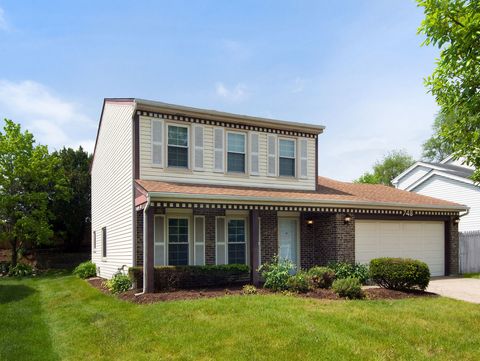 Photo of 748 Berwick Place, Roselle, IL 60172 (MLS # 12655580)