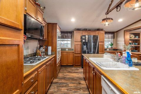 Tiny photo for 3996 Belgium Road, Mulkeytown, IL 62865 (MLS # QC4270039)